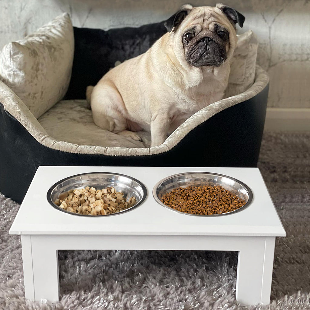 PawHut Raised Dog Feeding Bowls With Stand, Stainless Steel For Extra Small And Small Dog, 44L X 24W X 15H Cm - White - Noventis Home
