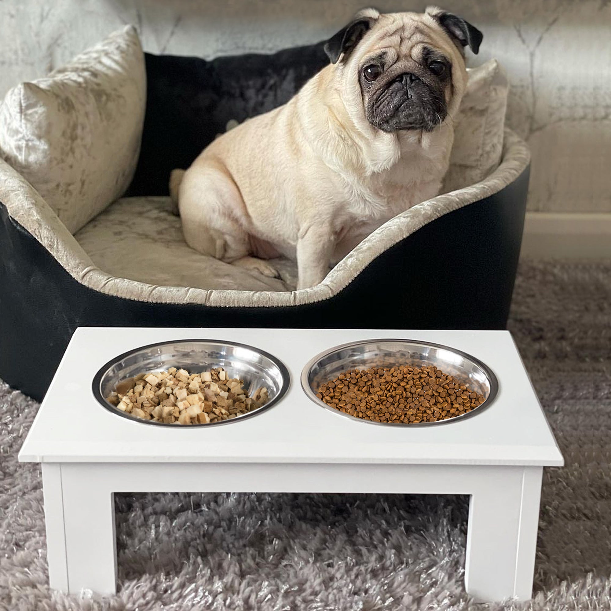 PawHut Raised Dog Feeding Bowls With Stand, Stainless Steel For Extra Small And Small Dog, 44L X 24W X 15H Cm - White - Noventis Home